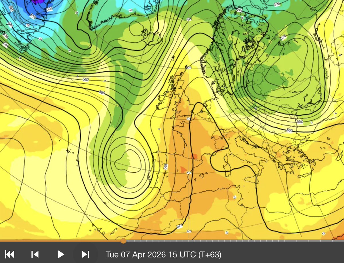 angel rivera tweet media