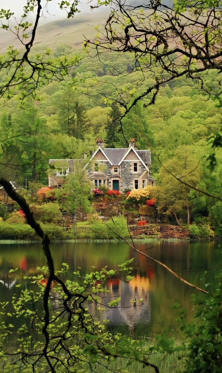 Jeanna 🇺🇸 tweet media