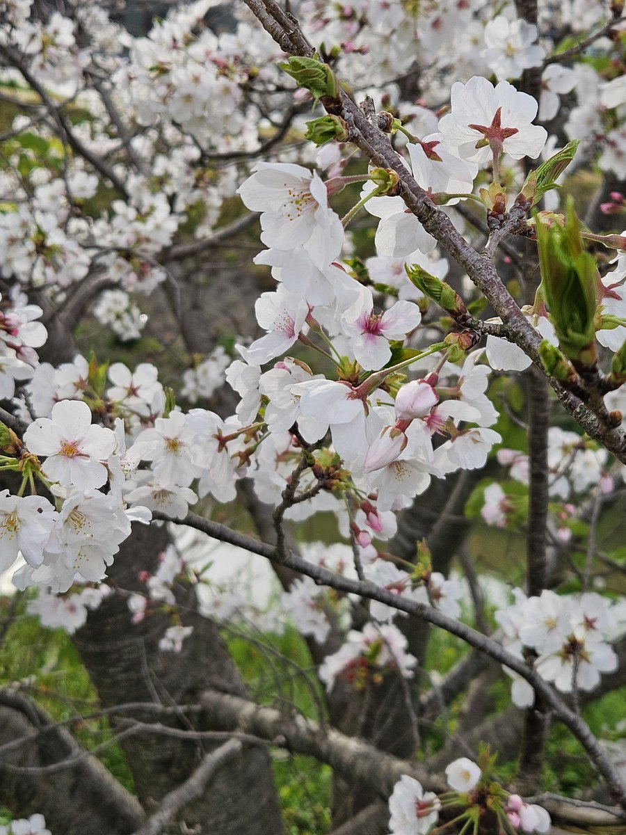 あっこ tweet media