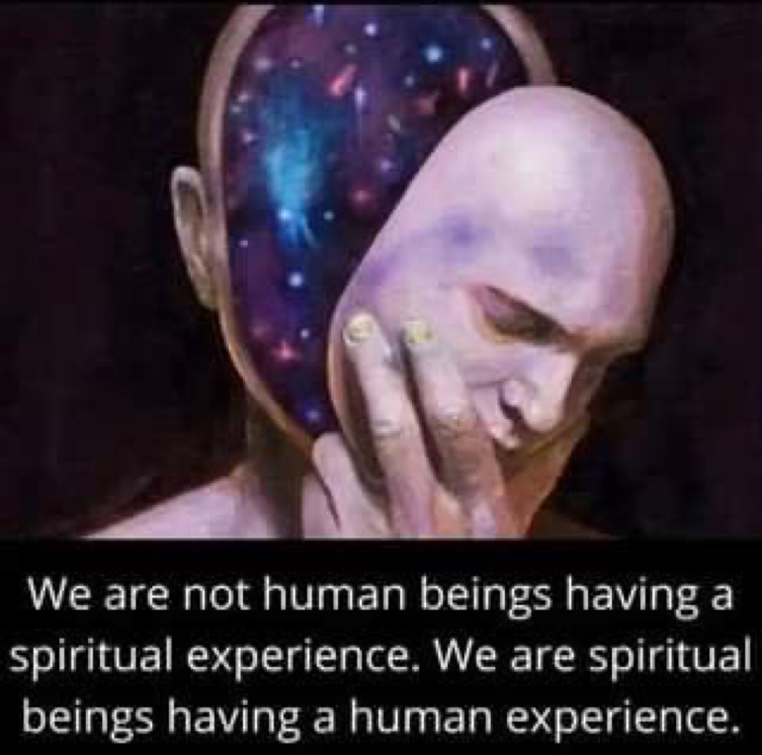 vegastar tweet media