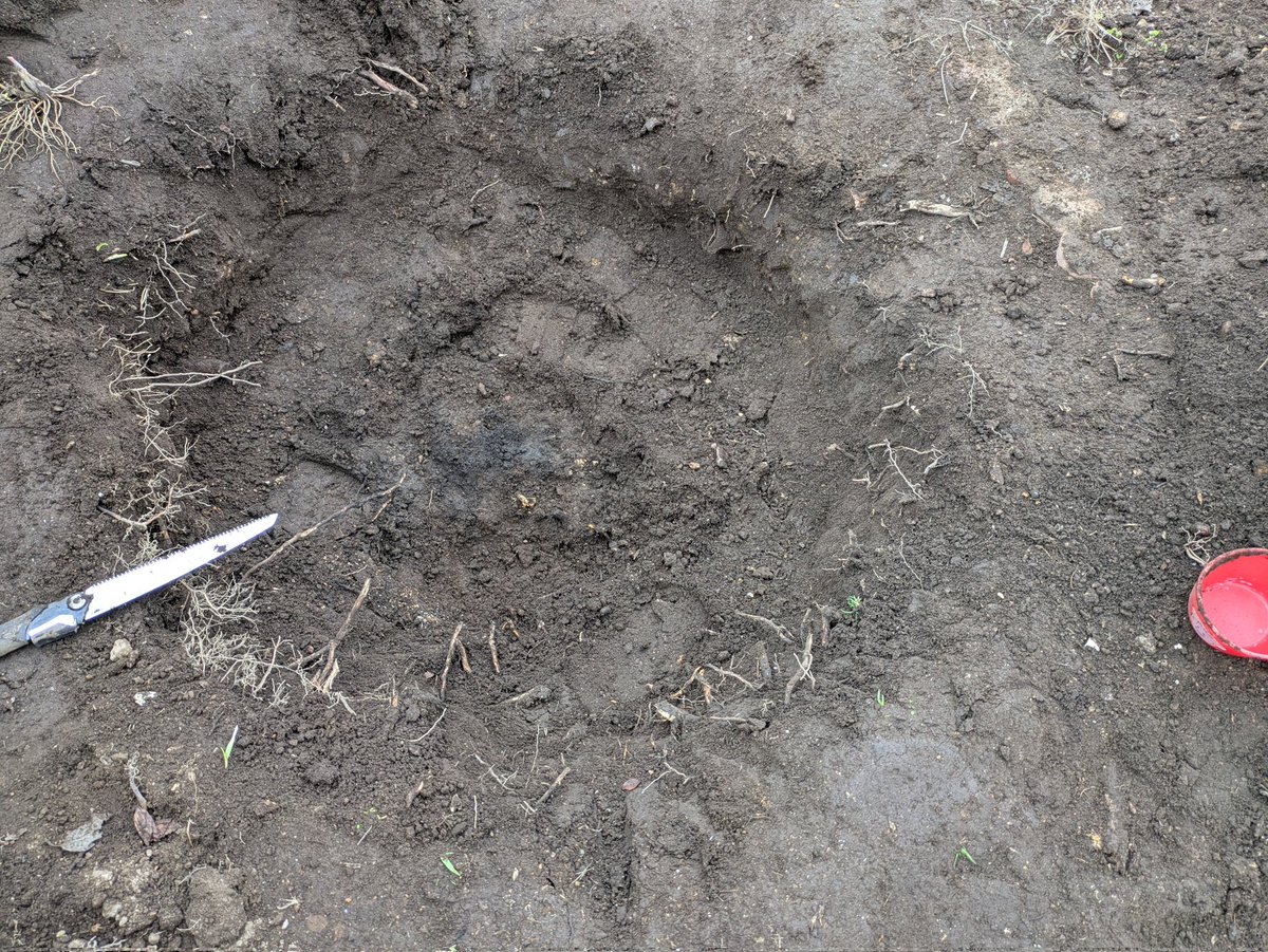 釣れないマン tweet media