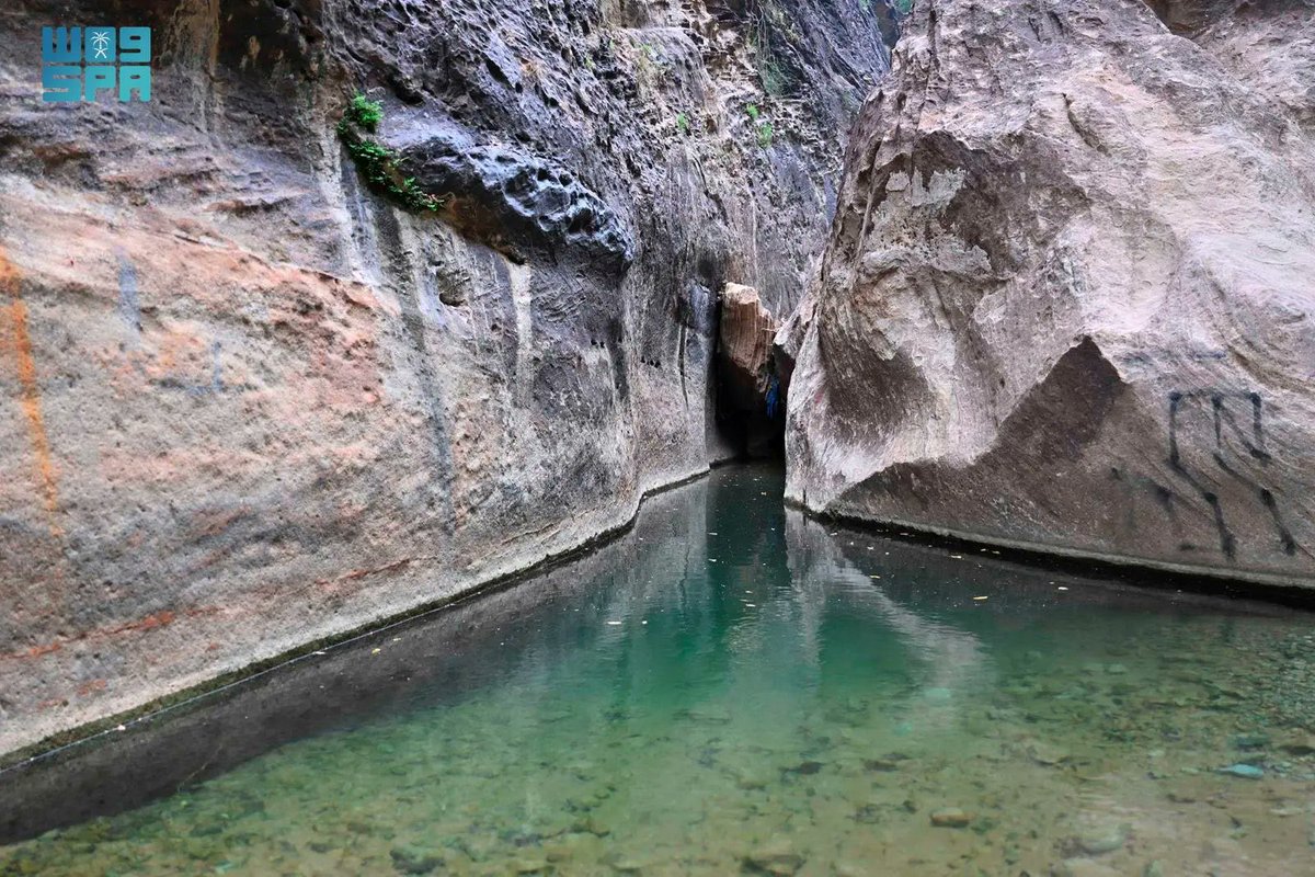 الأحداث السعودية tweet media