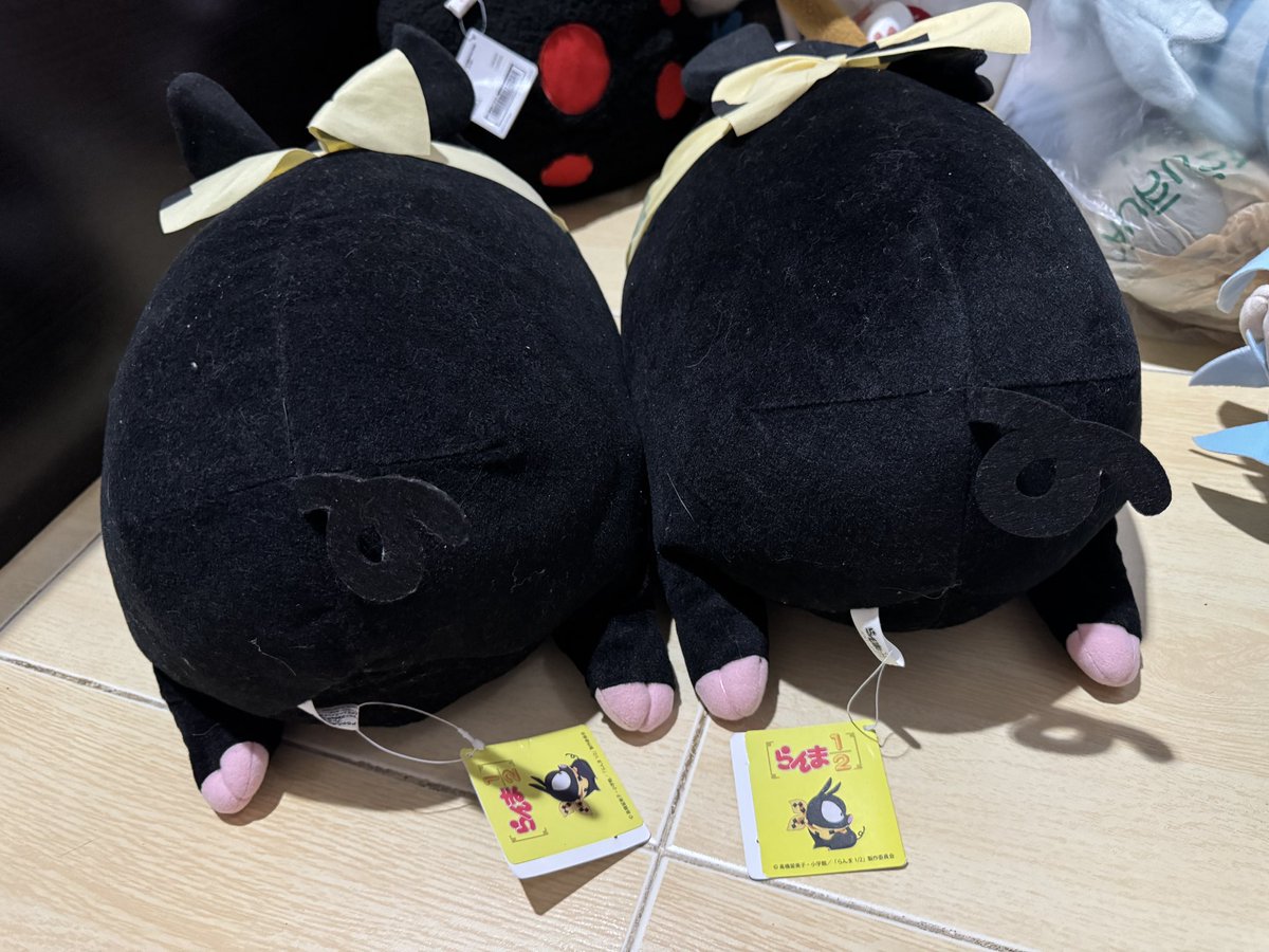 🎁หนูแบมหมีจะขาย ʕ•ᴥ•ʔ tweet media