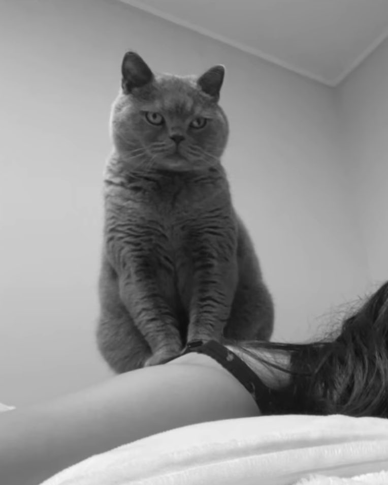 JIHYO GLOBAL UNION tweet media