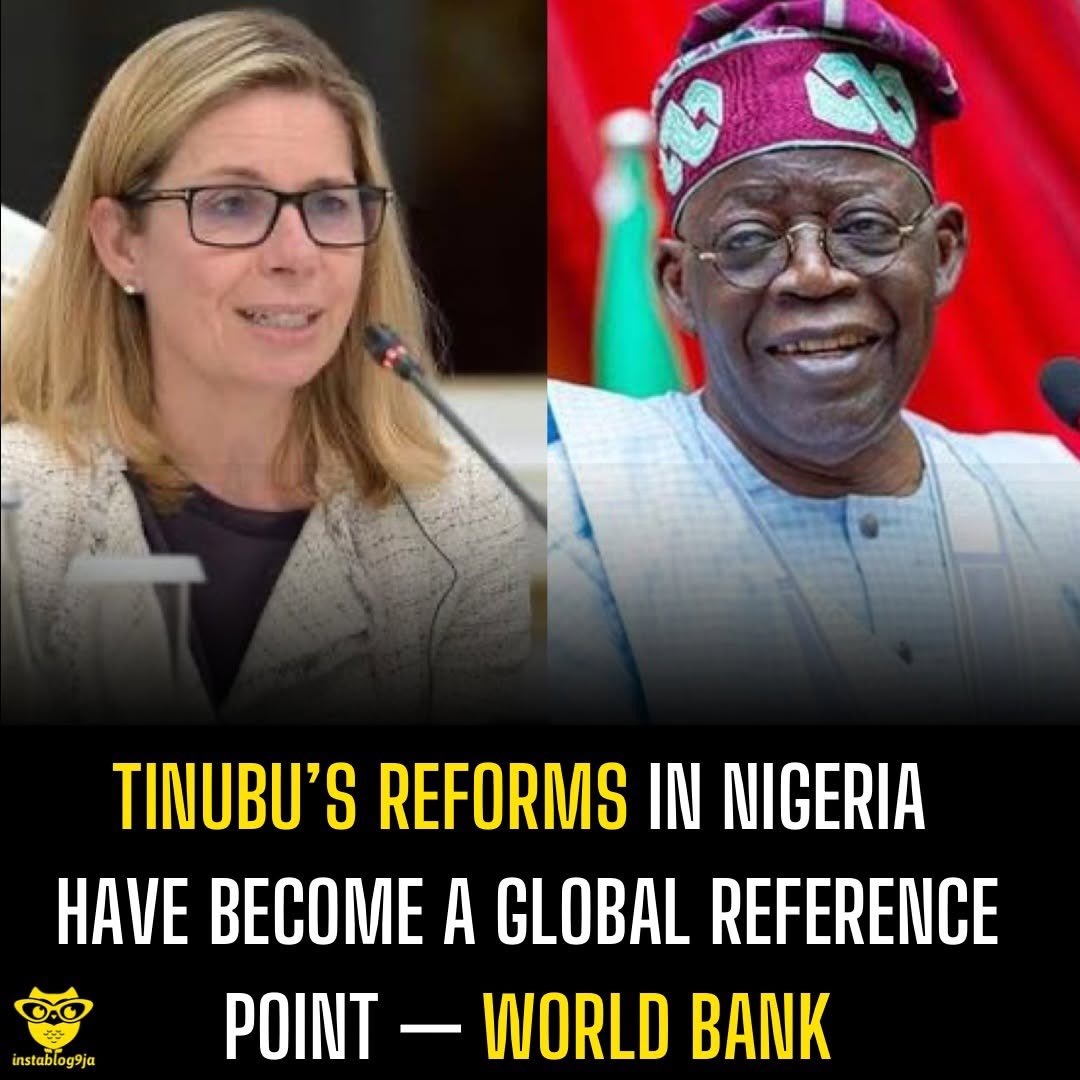 Blue Kites tweet media