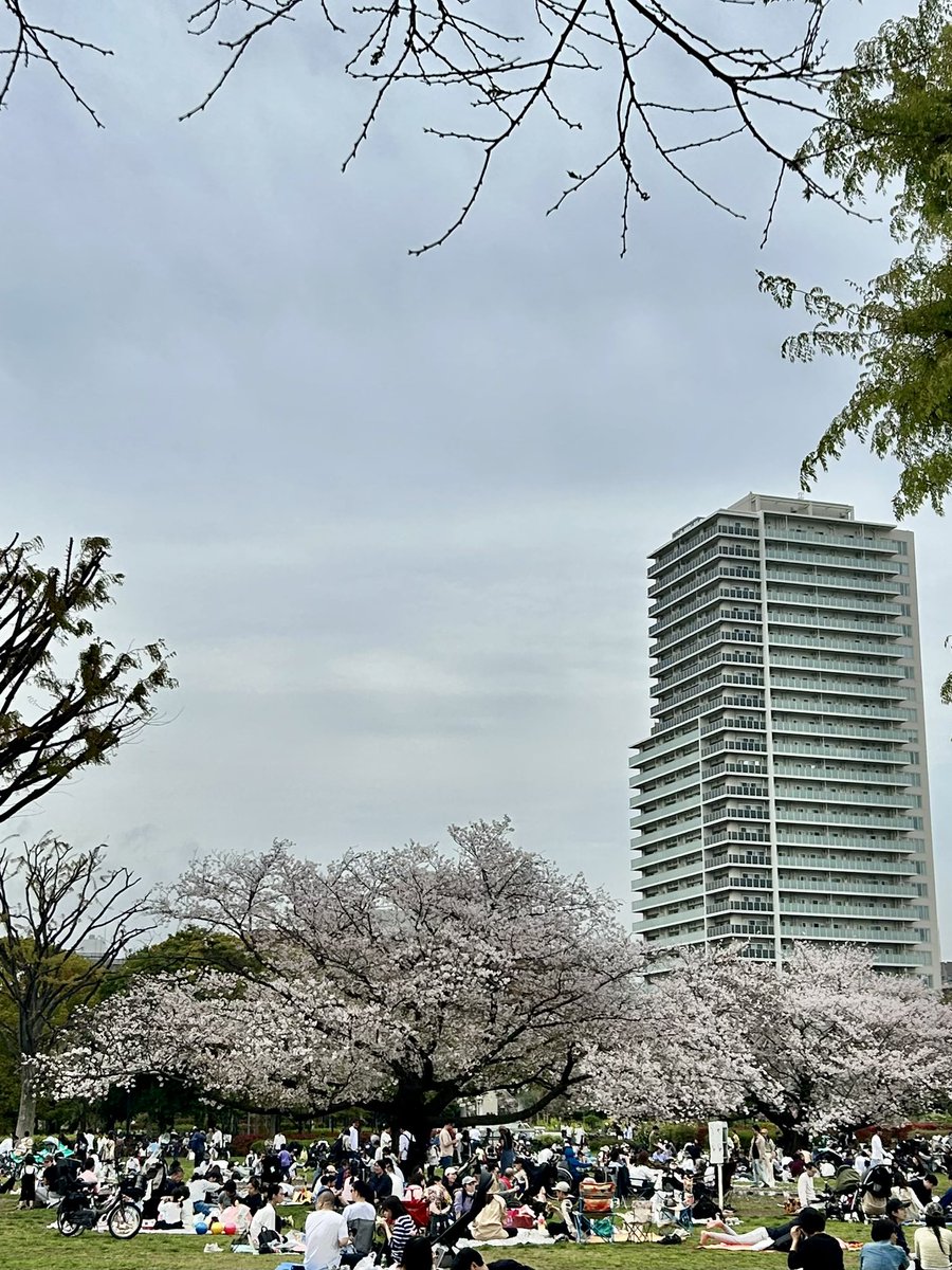 木場ぴくひこ tweet media