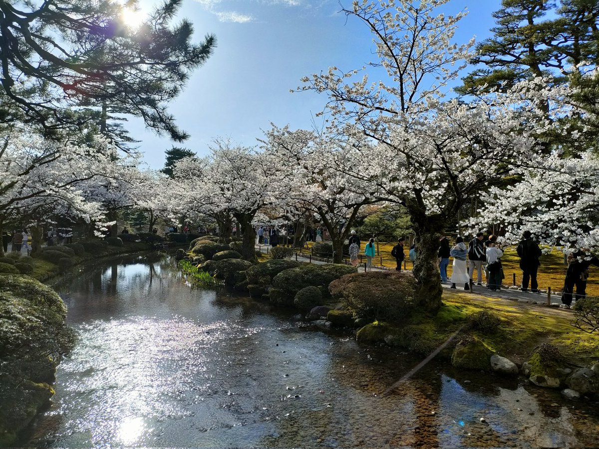 ルーク@りひなとの父（ポケモン初心者とは言われているよ） tweet media