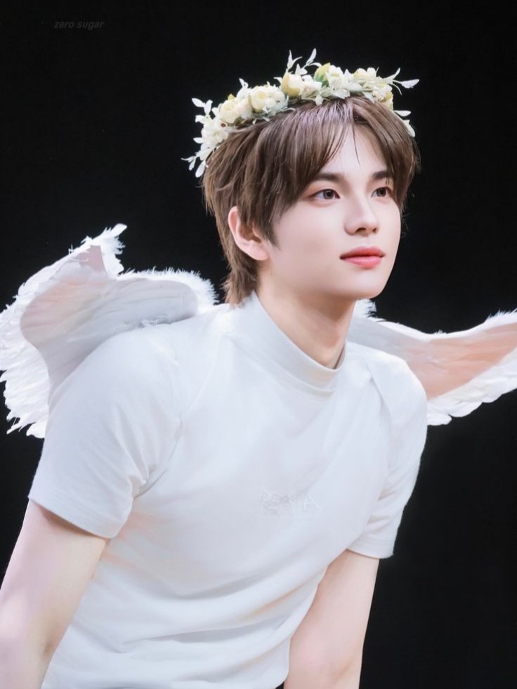 𝕺𝖈𝖊𝖆𝖓𝖆 🐾 tweet media