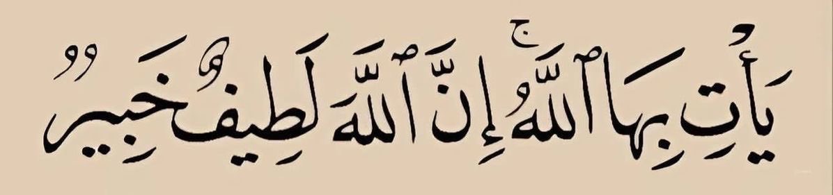 هُدوء tweet media