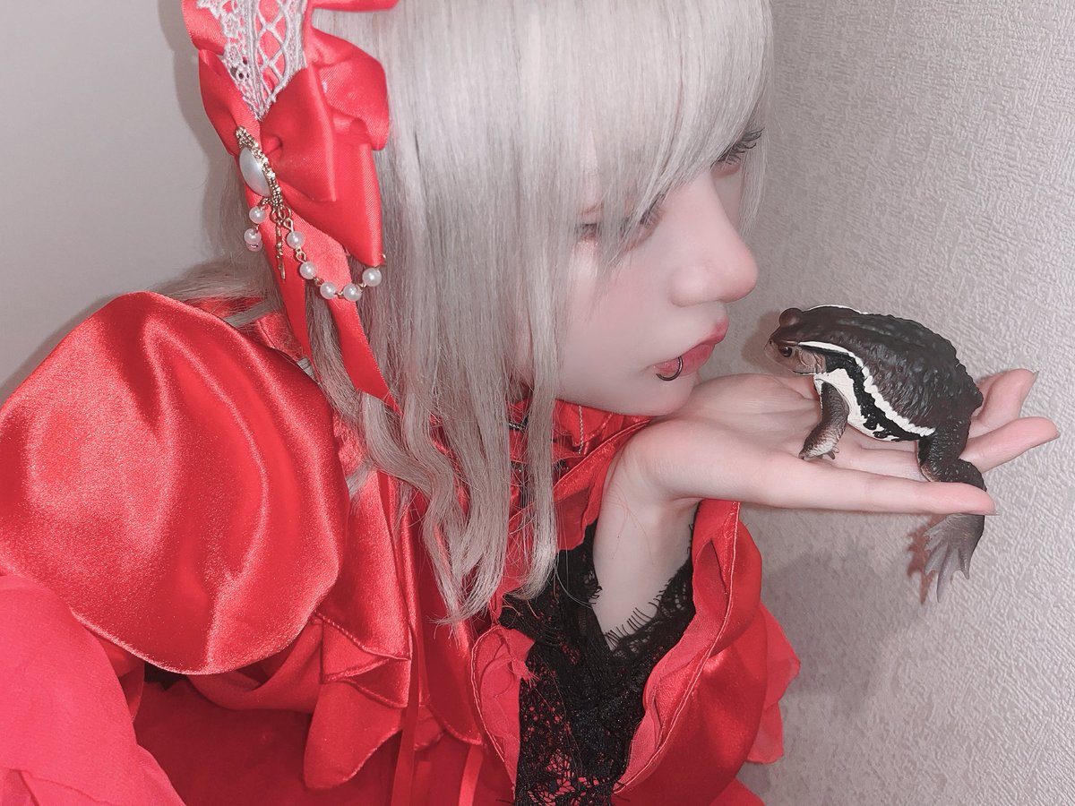 例えば tweet media