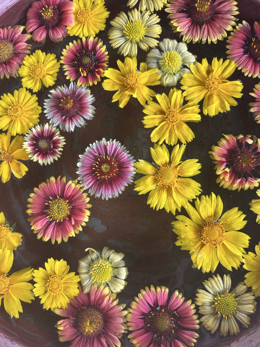 Hervé Delphin tweet media