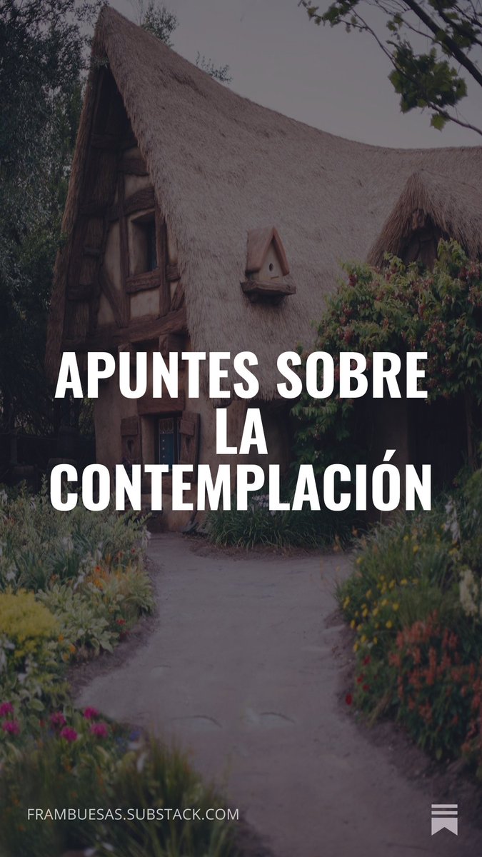 Samira 🍓 tweet media