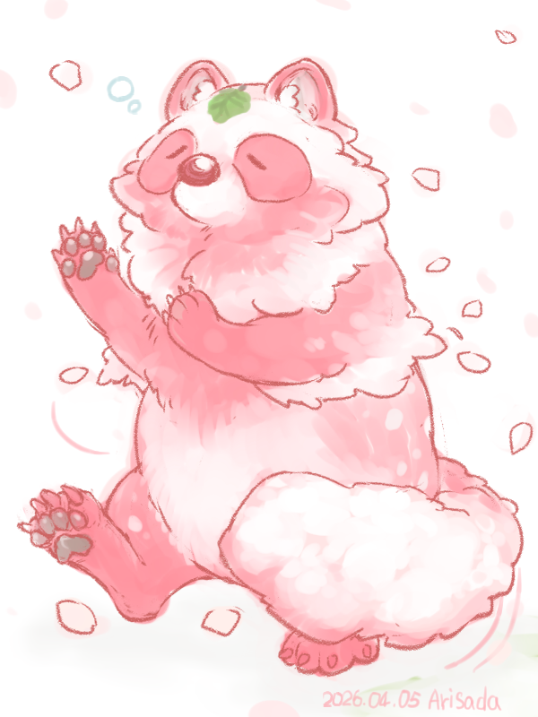 ari_sada's tweet photo. また久しぶりになってしまいました…。
桜散る前に見れたので、サクラ狸。
地元の桜の名所に狸が居たという伝承？から連想。

子供の頃に聞いた、しかし何か勘違いして覚えた可能性が高い話なのですけれども。

ところで狸とポメラニアン、似てますね。
実はポメ化数回を経ており、地味に大変でした。 https://t.co/eOCuPQsl1j
