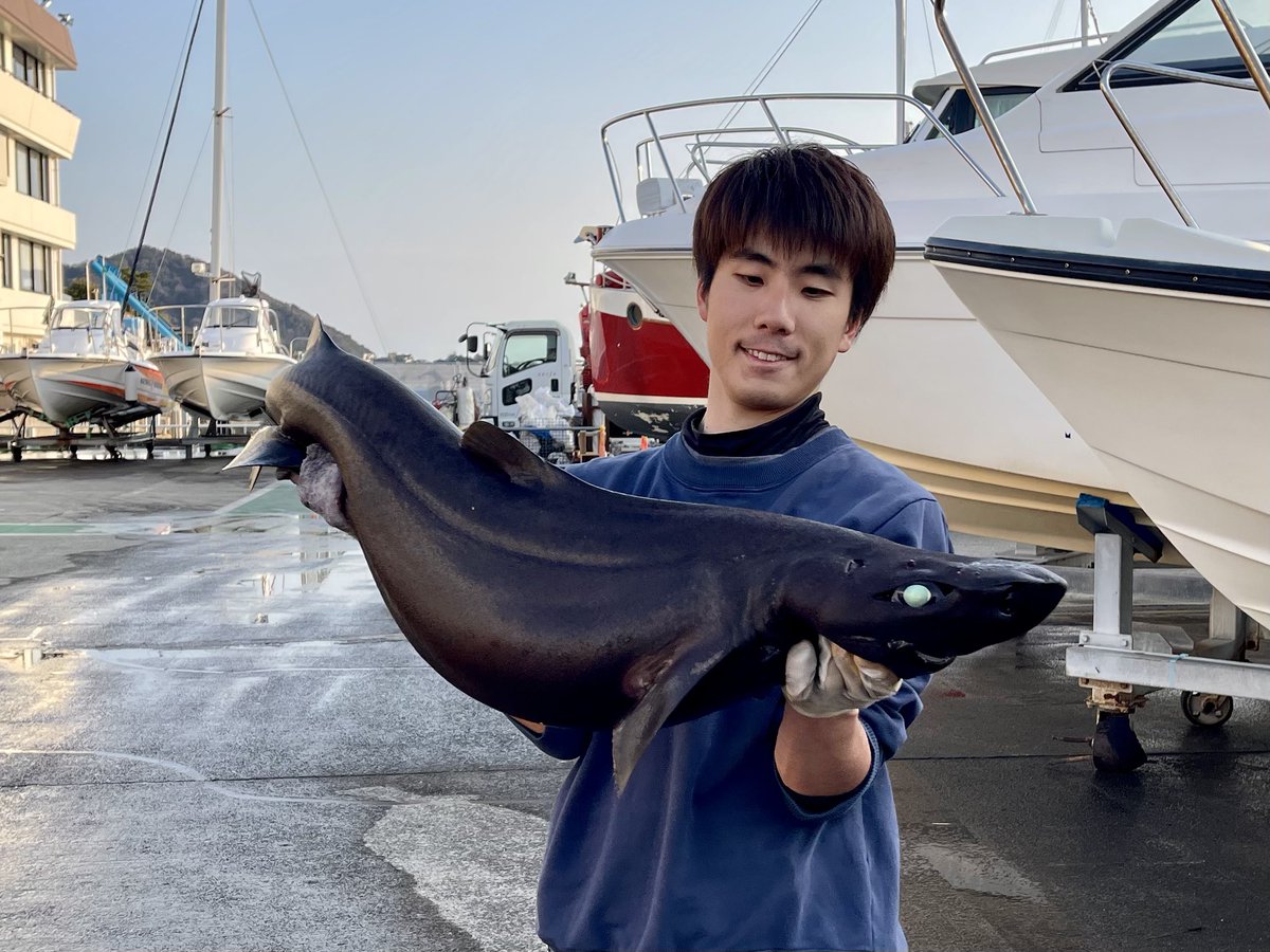 西野勇馬【深海魚ハンター】 tweet media