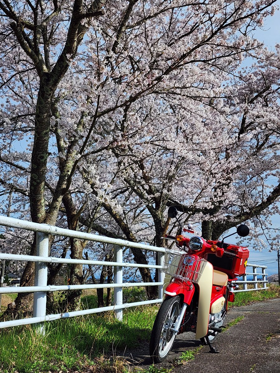 ZX-14R ダイワステス tweet media