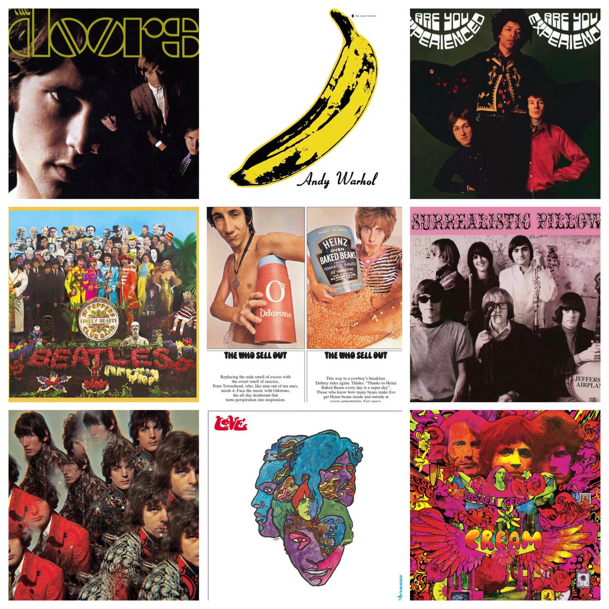 Les Purves tweet media