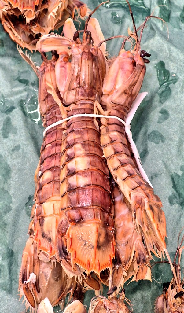 阿部圭いち｢海翔けた龍の記憶｣ tweet media