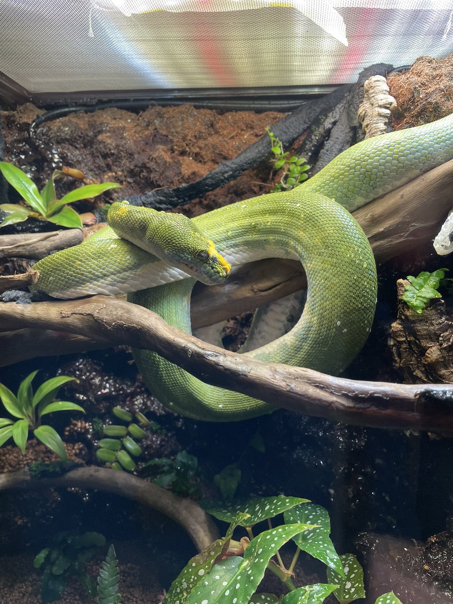 師岡雅史 tweet media