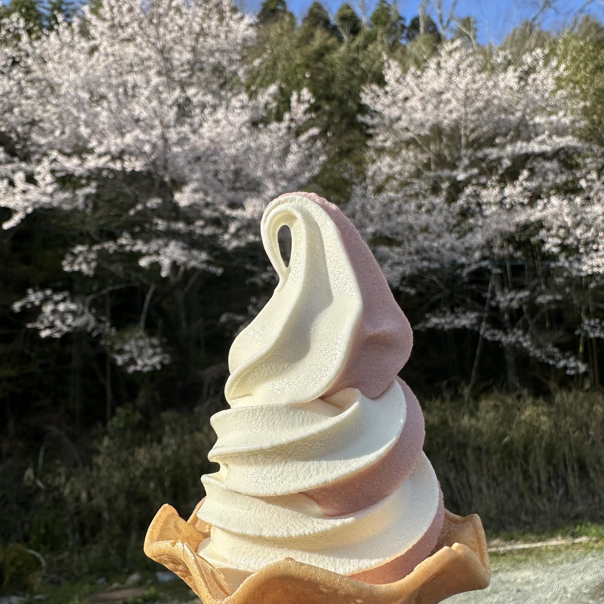 ☀️☁️ PANDA☔️☃️ tweet media