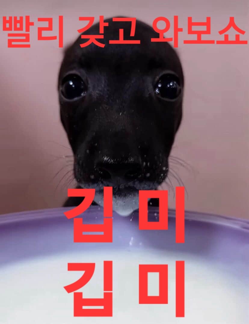 단무지 tweet media