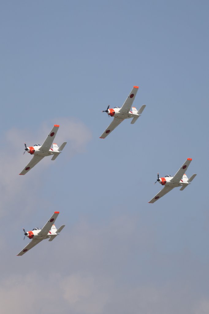 紅茶🐾 tweet media