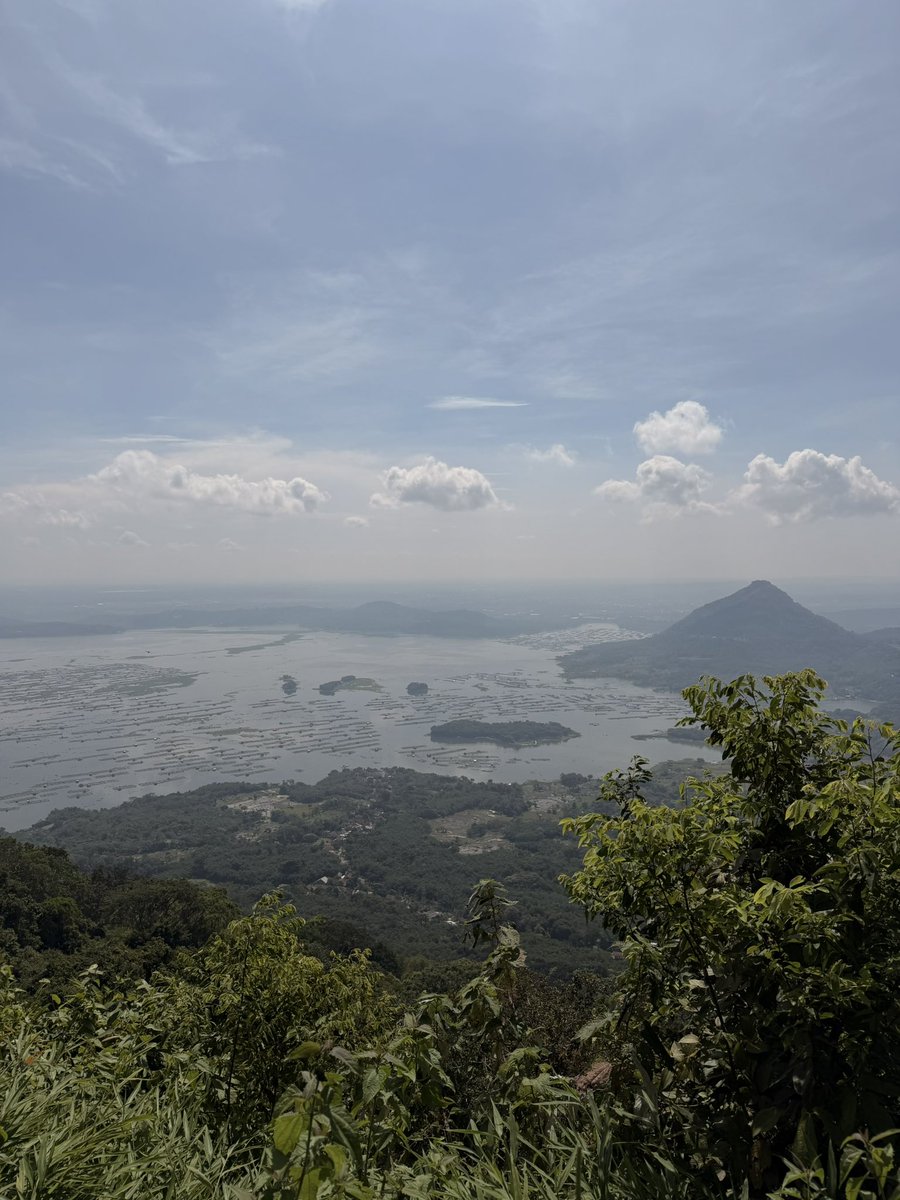 toothless tweet media