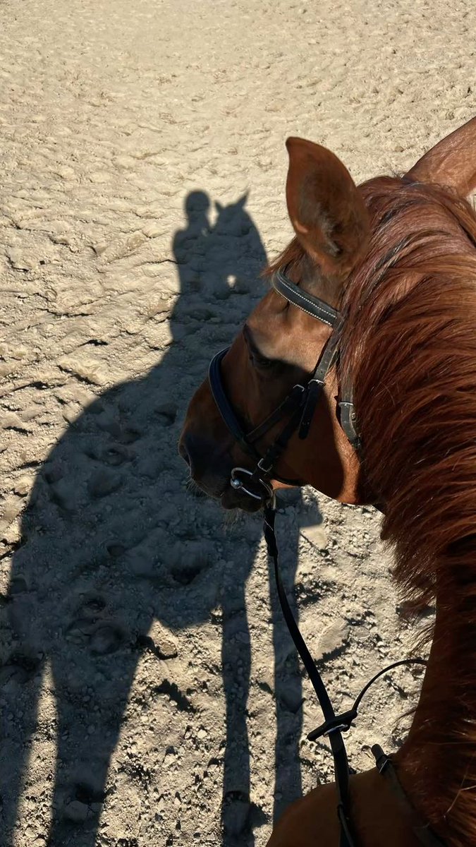 𝐑𝐀𝐋𝐀𝐈𝐘𝐀 𝐒. 𝐌𝐔𝐋𝐉𝐎𝐓𝐎 tweet media