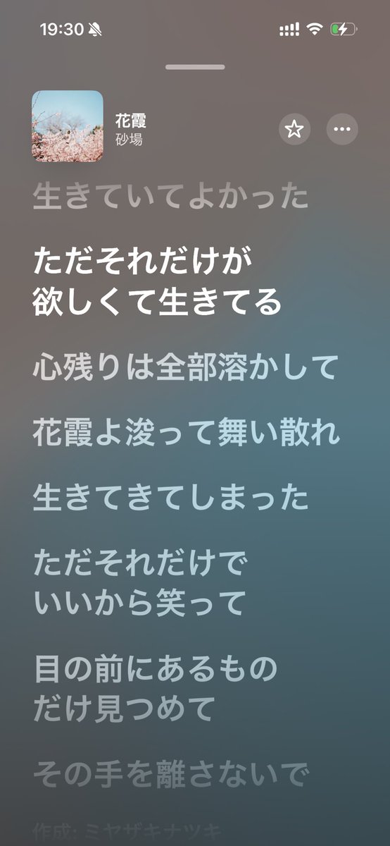 まいみ tweet media