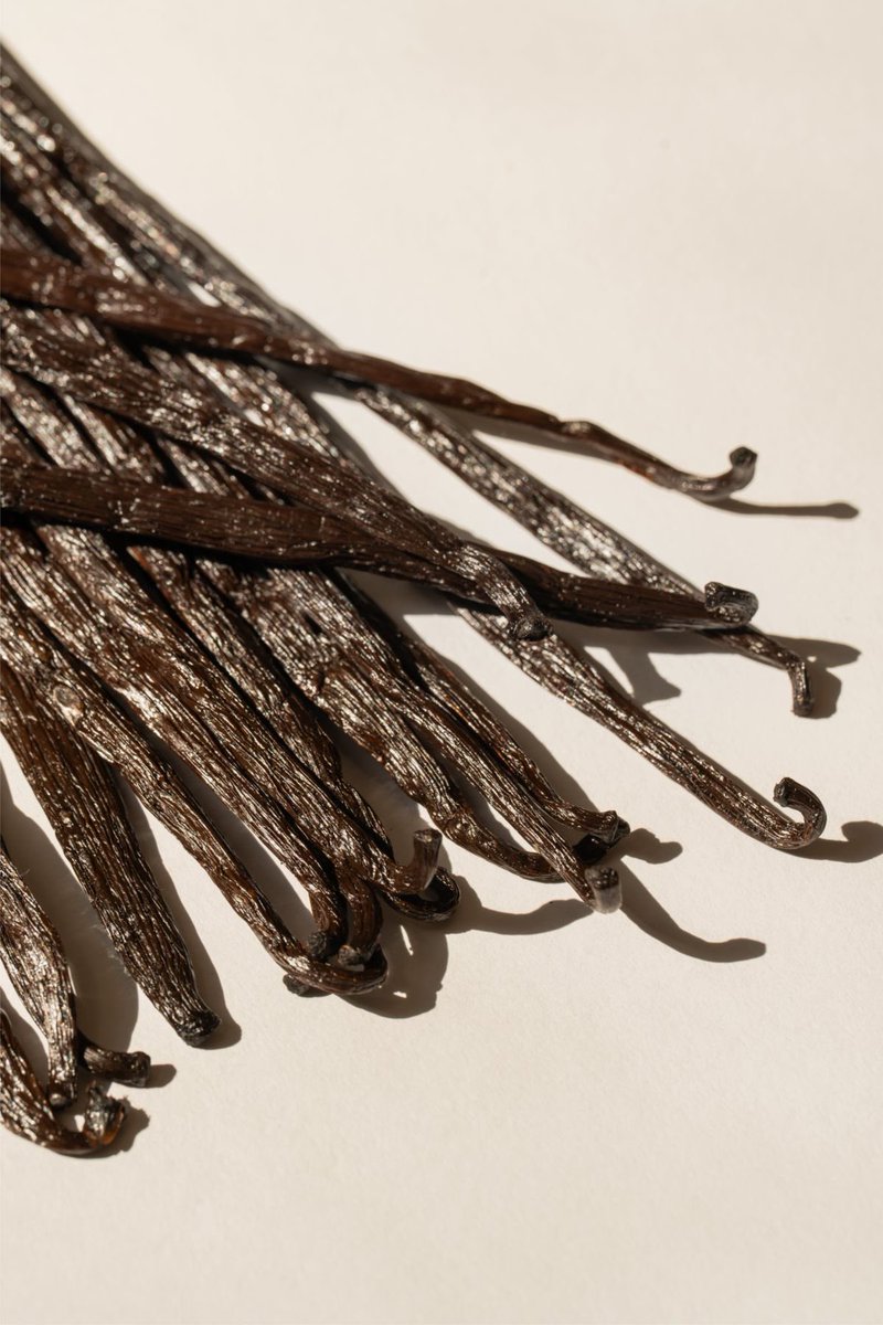 Fragrance Aesthetics tweet media