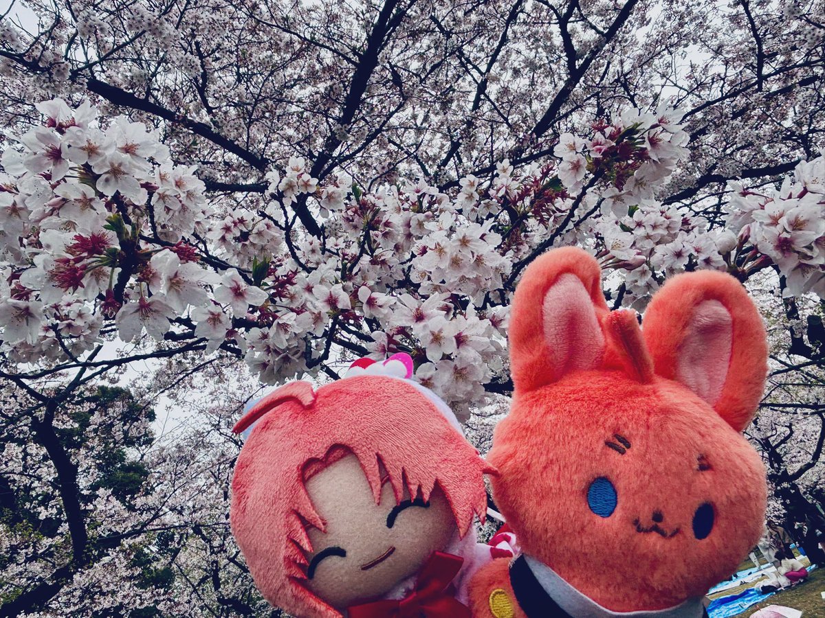 か え で tweet media