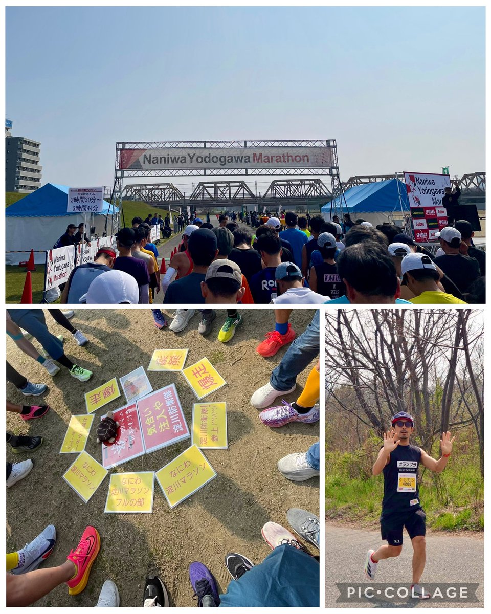 くらわんかモンチッチ tweet media