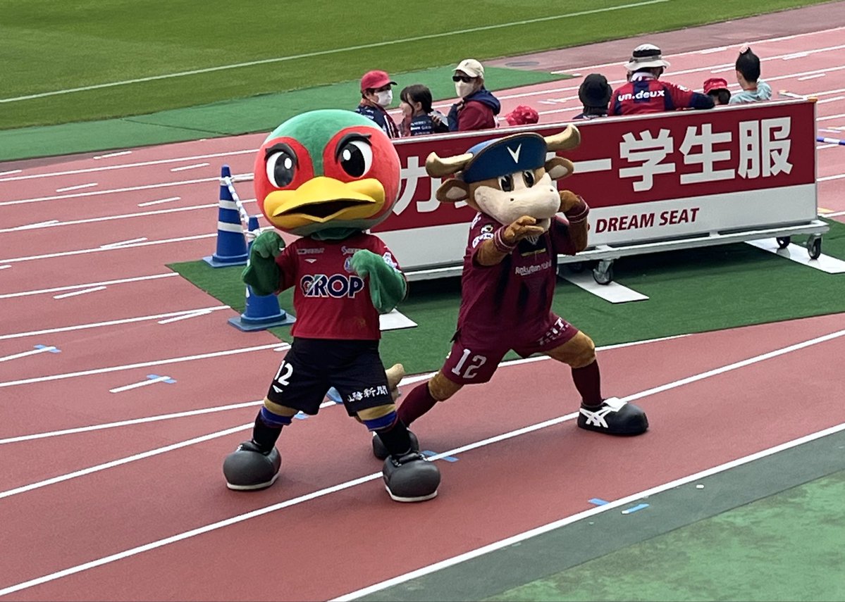 sole ✺ tweet media