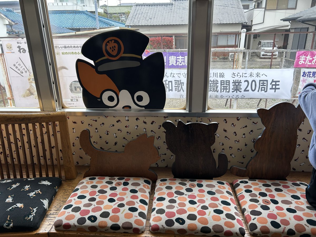 yokochin153604's tweet image. Tama-densha-museum train is decorated with cute cat designs.

This is because a cat named Tama was the stationmaster at Kishi Station on the Wakayama Electric Railway.

#Japan 
#japanese 
#Wakayama