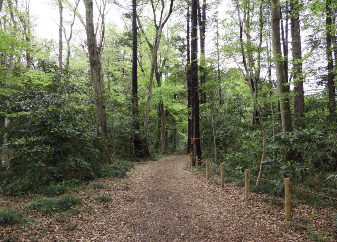 もりハピ♪ 鳥とグルメと tweet media