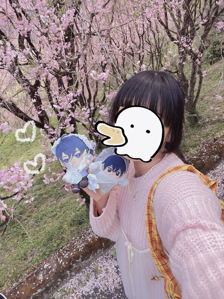 きぃろ🐣 tweet media