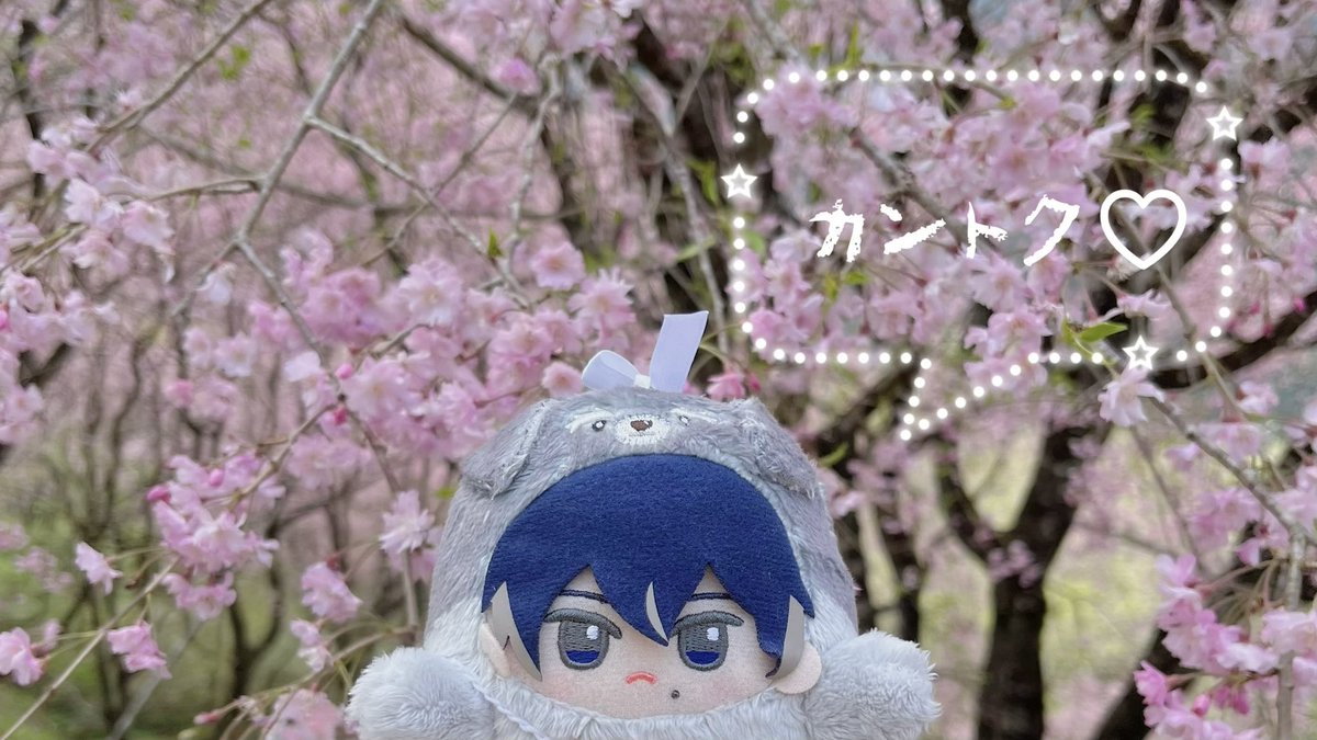 きぃろ🐣 tweet media