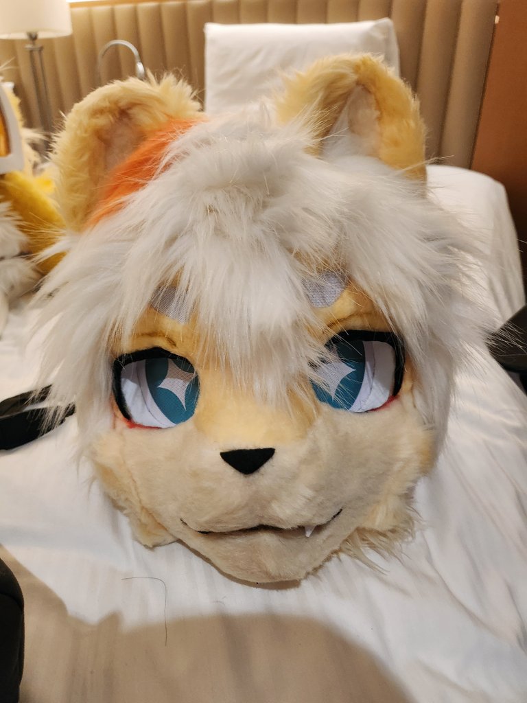 코 木I tweet media