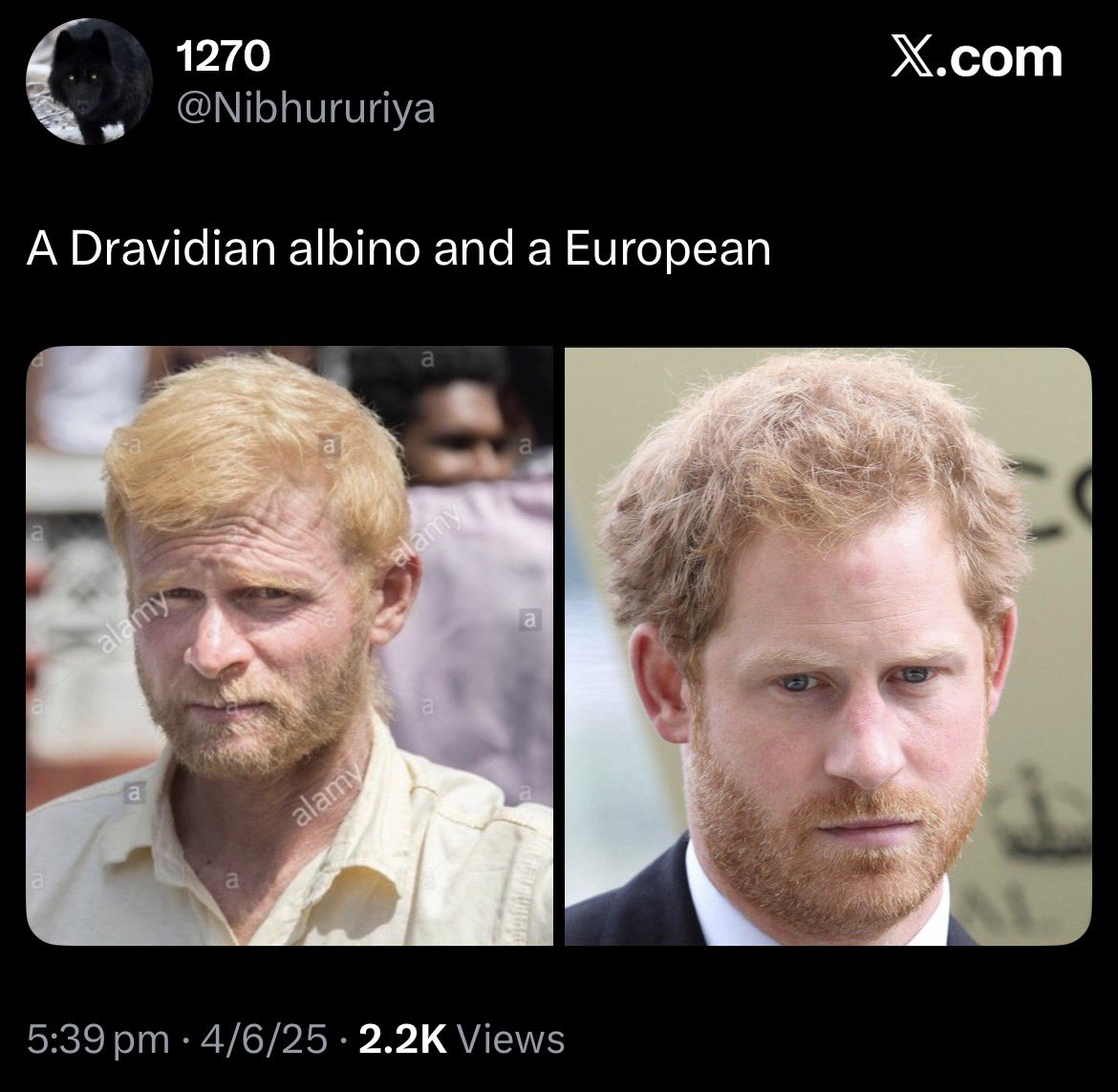 Concious tweet media