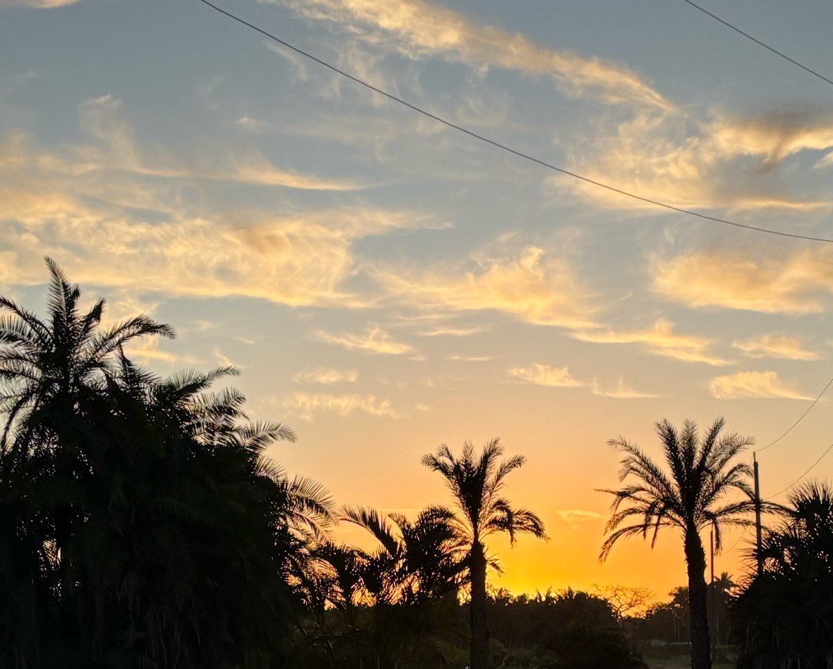 Marie 🏝️💃 tweet media