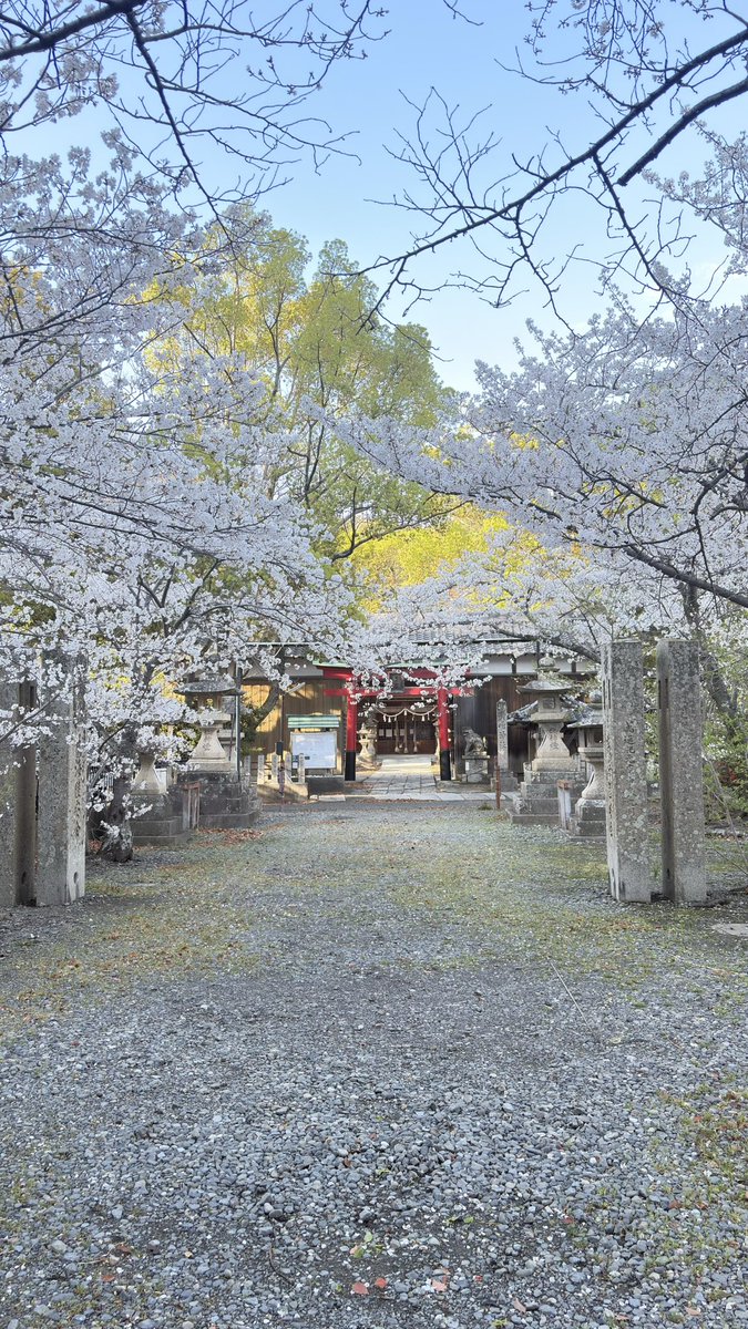 nana 🐈⬛ tweet media