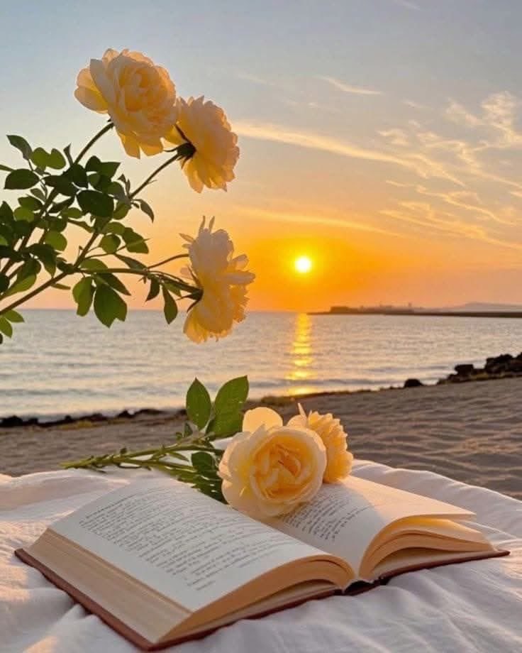 Shafqat Mahmood tweet media