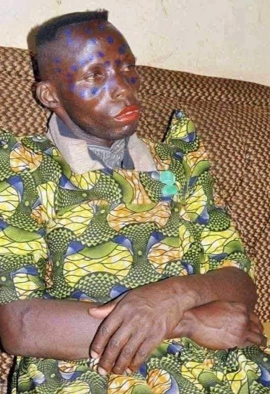 George T. Diano tweet media