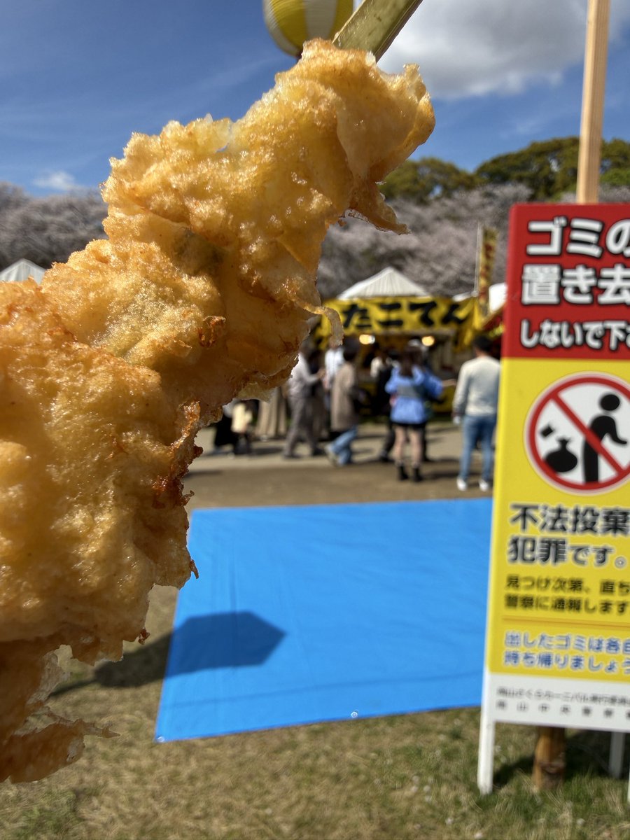 はる(花粉ちゃん) tweet media