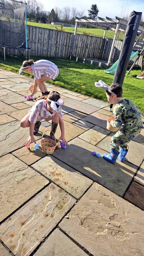 @theformanalyst tweet media