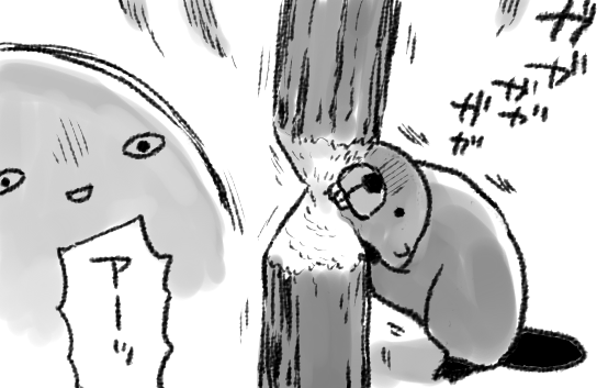 シギサワカヤ tweet media