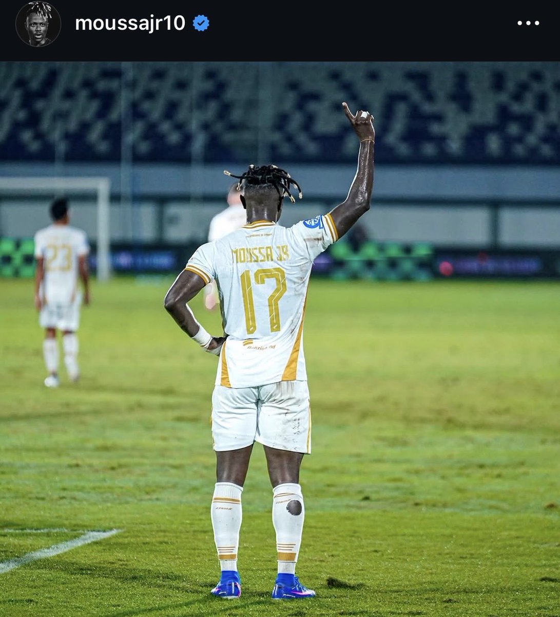 GIBOLofficial tweet media