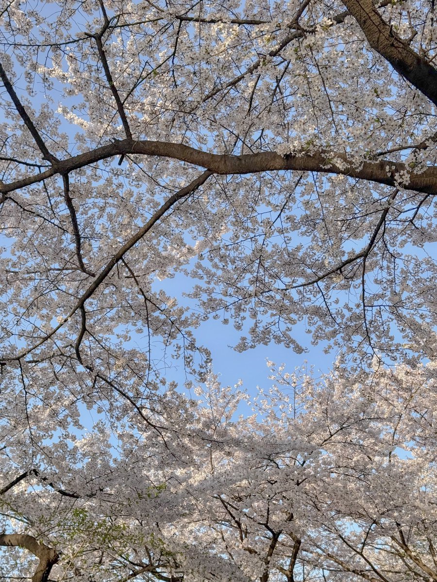 мᴇнн.. ⁷ will see bts ㉧㉣㉣ tweet media