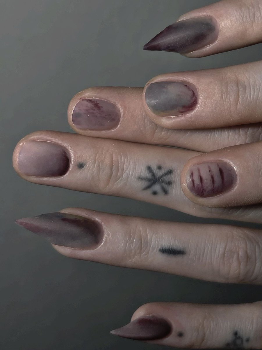 xefros of shtwt tweet media