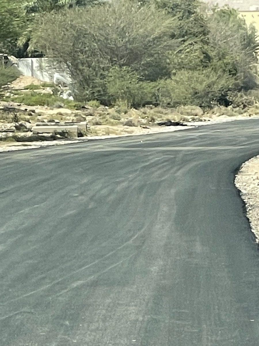 سلطان بن راشد الكلباني tweet media