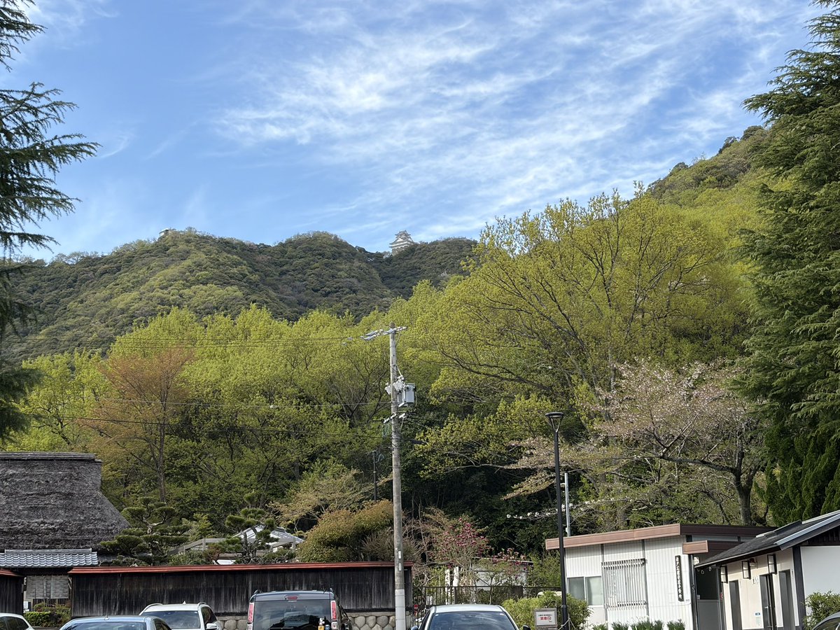 5kAZ5's tweet photo. 雨もあがったので先日購入したトレランシューズで金華山スロージョギング(7km)🏃⛰️
山道も走りやすい👍 https://t.co/TFIj7BstW6